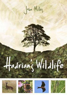 Hadrian's Wildlife 1