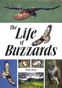 bokomslag The Life of Buzzards