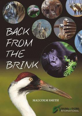 Back from the Brink 1