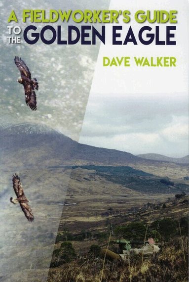 Dave Walker - Fieldworker's Guide to the Golden Eagle, Häftad
