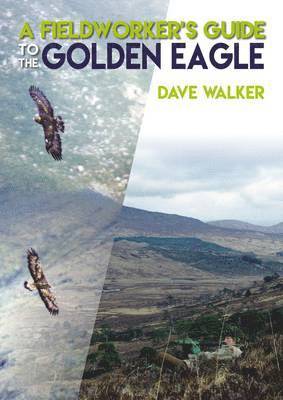 bokomslag A Fieldworker's Guide to the Golden Eagle