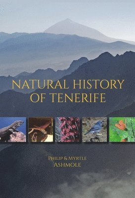 bokomslag Natural History of Tenerife