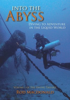 Into the Abyss: 1 The Diving Trilogy 1