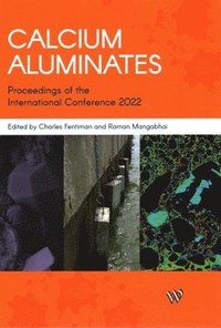 bokomslag Calcium Aluminates
