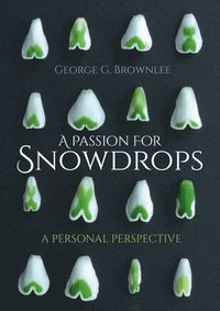 bokomslag Passion for Snowdrops