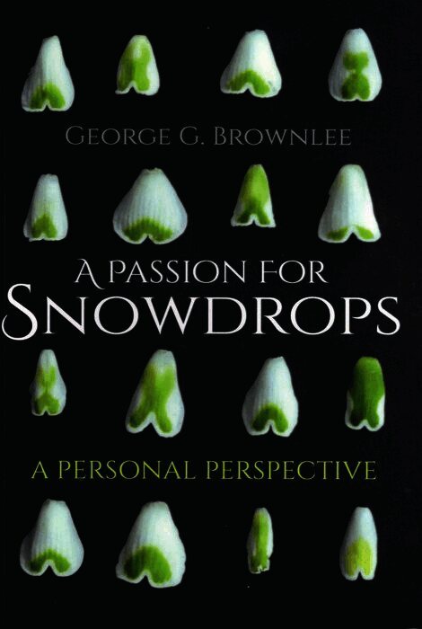 Passion for Snowdrops
