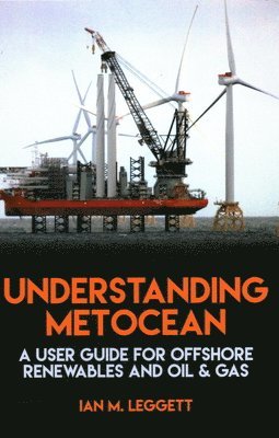 bokomslag Understanding Metocean