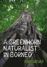 bokomslag A Greenhorn Naturalist in Borneo