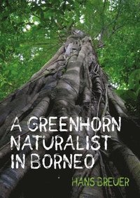 bokomslag Greenhorn Naturalist in Borneo