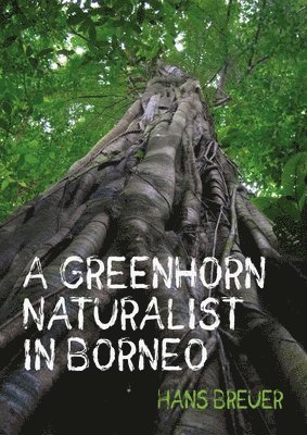 bokomslag Greenhorn Naturalist in Borneo