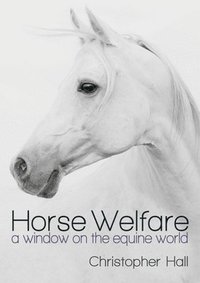 bokomslag Horse Welfare