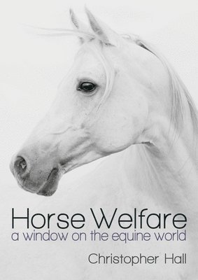 Horse Welfare 1