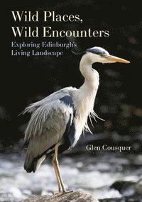 bokomslag Wild Places, Wild Encounters