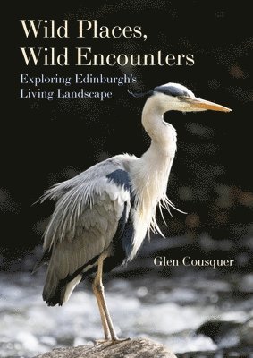 Wild Places, Wild Encounters 1