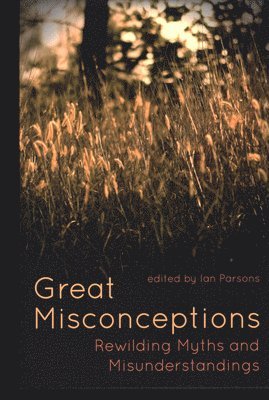 bokomslag Great Misconceptions