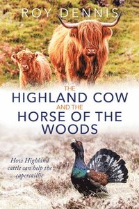 bokomslag Highland Cow and the Horse of the Woods