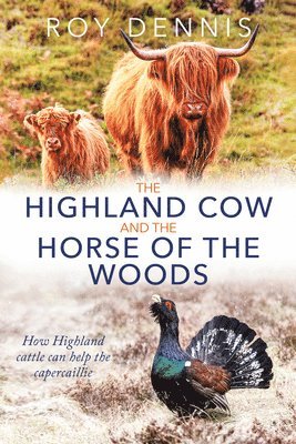 bokomslag Highland Cow and the Horse of the Woods