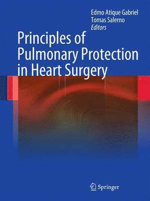 bokomslag Principles of Pulmonary Protection in Heart Surgery