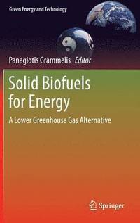 bokomslag Solid Biofuels for Energy