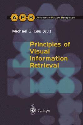 bokomslag Principles of Visual Information Retrieval