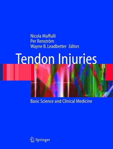 bokomslag Tendon Injuries