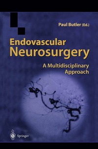 bokomslag Endovascular Neurosurgery