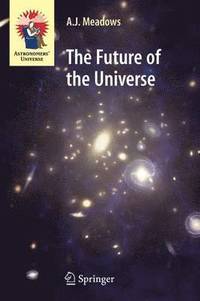 bokomslag The Future of the Universe