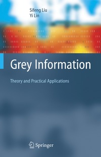 bokomslag Grey Information