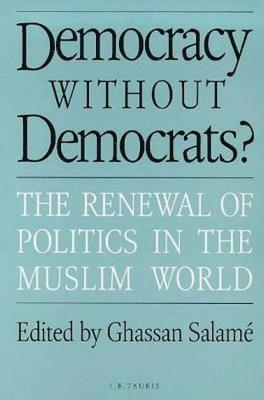 bokomslag Democracy without Democrats?