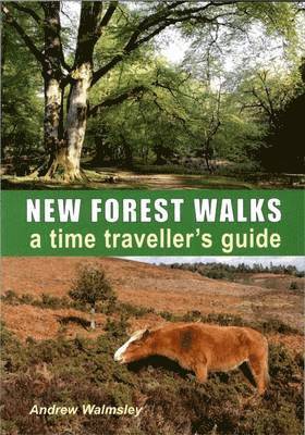 Andrew Walmsley - New Forest Walks, Häftad