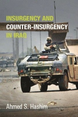 bokomslag Insurgency and Counter-Insurgency in Iraq