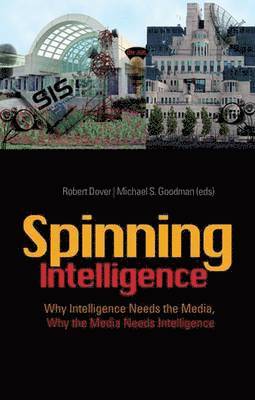 bokomslag Spinning Intelligence