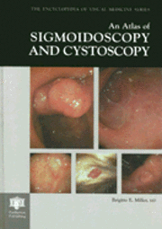 bokomslag An Atlas of Flexible Sigmoidoscopy and Cytoscopy