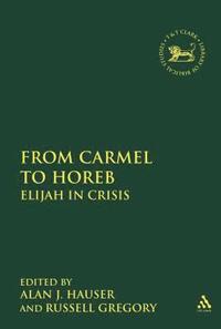 bokomslag From Carmel to Horeb
