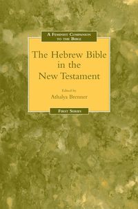 bokomslag Feminist Companion to the Hebrew Bible in the New Testament