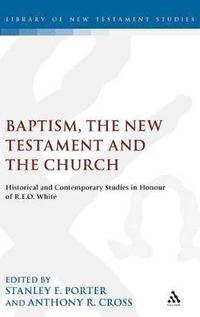 bokomslag Baptism, the New Testament and the Church