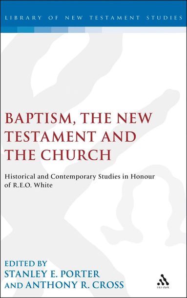 bokomslag Baptism, the New Testament and the Church