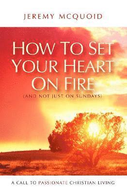 Jeremy McQuoid - How to Set your Heart on Fire, Häftad