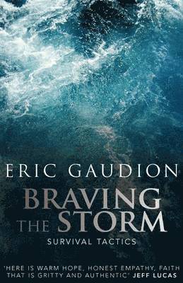 Braving the Storm 1