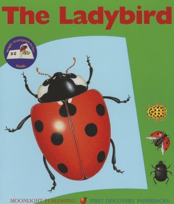 The Ladybird