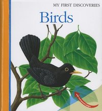 bokomslag Birds