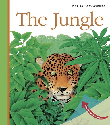 René Mettler - Jungle, Häftad