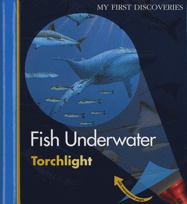 Fish Underwater 1