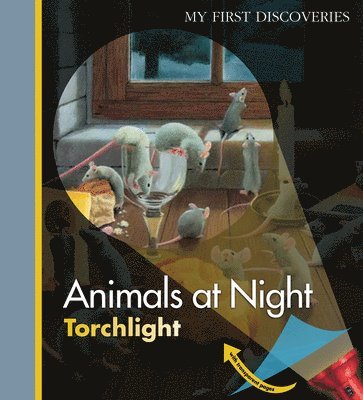 Animals at Night 1