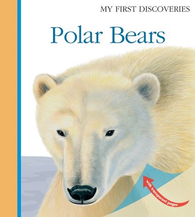Laura Bour - Polar Bears, Häftad