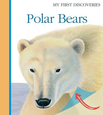 Polar Bears 1