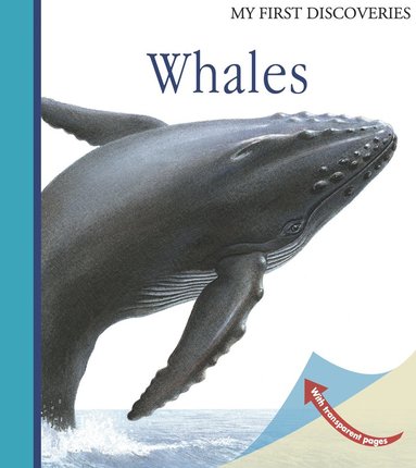 bokomslag Whales