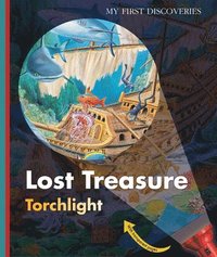 bokomslag Lost Treasure