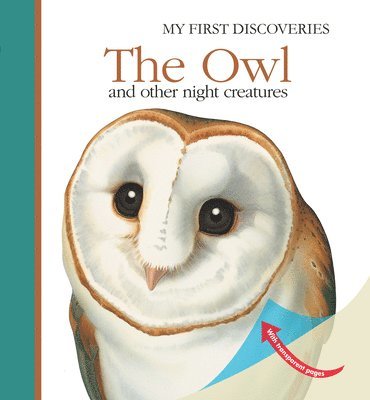 The Owl 1