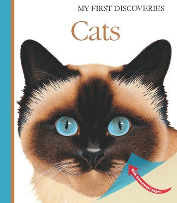 Bourgoing, P: Cats